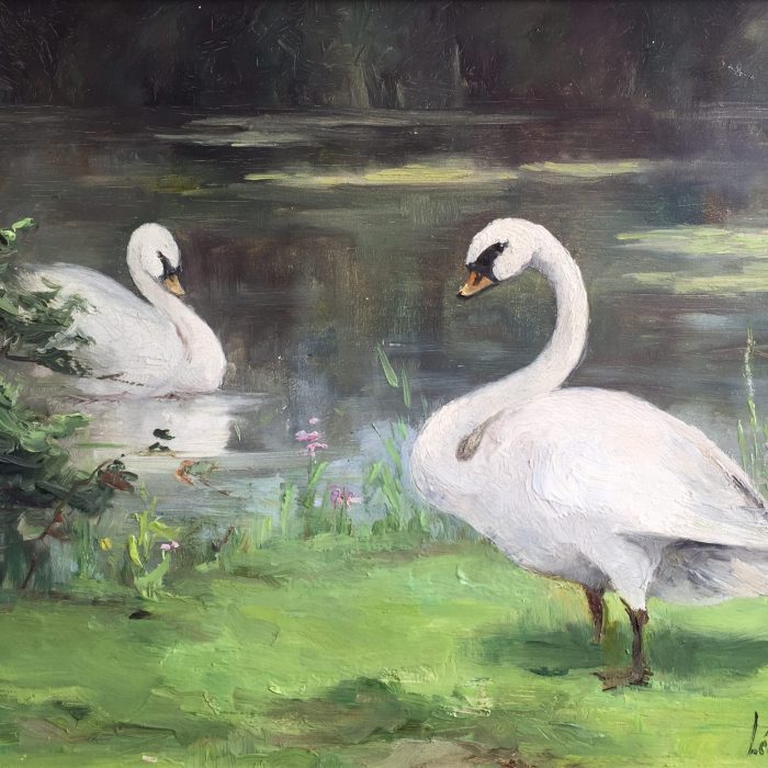 A Pair of Swans