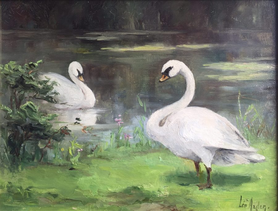 A Pair of Swans