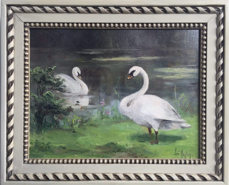 A Pair of Swans