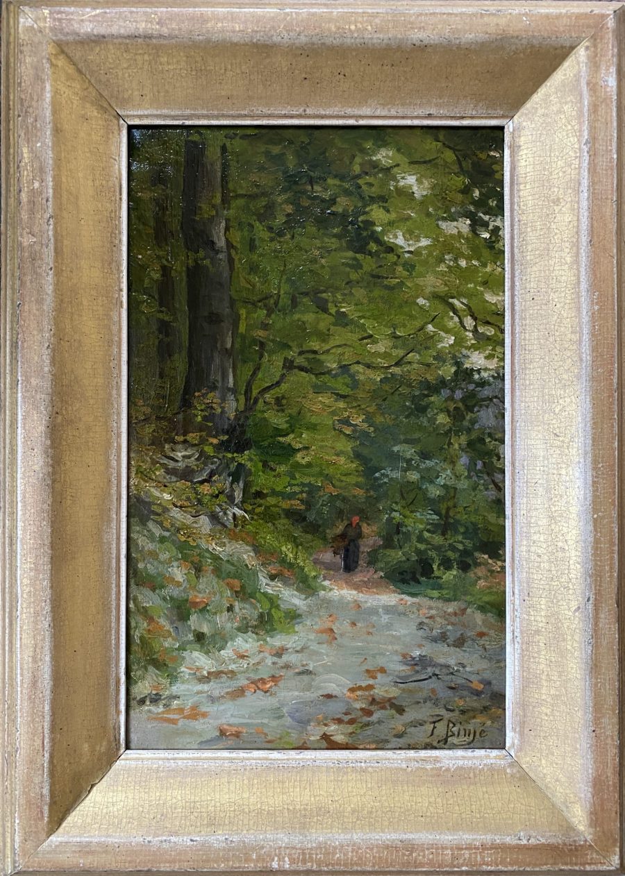 A Path in the Forest - Image 2