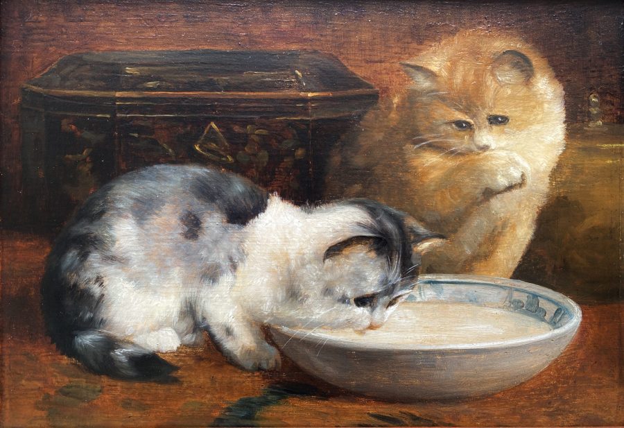 A Meal
