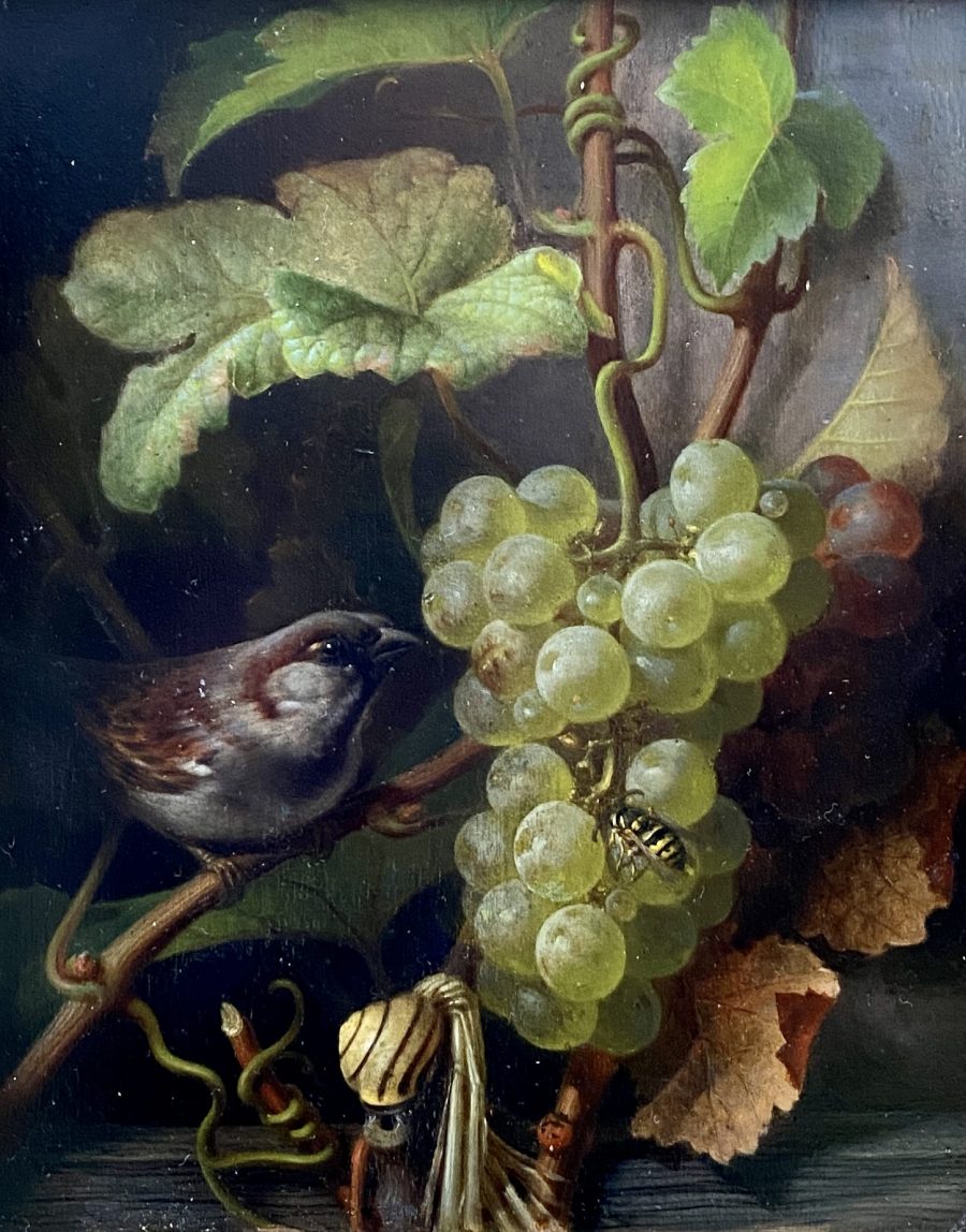 A Still Life with Sparrow and Grapes