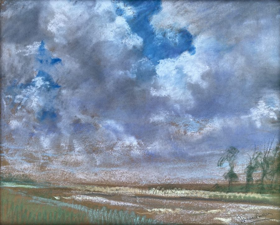 Cloudy Fields