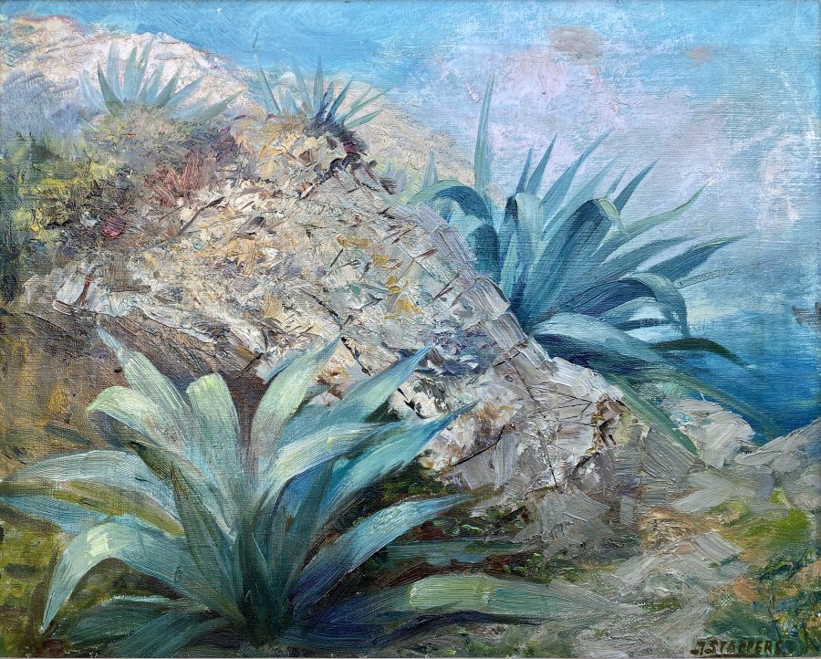 A Coastal View with Agave