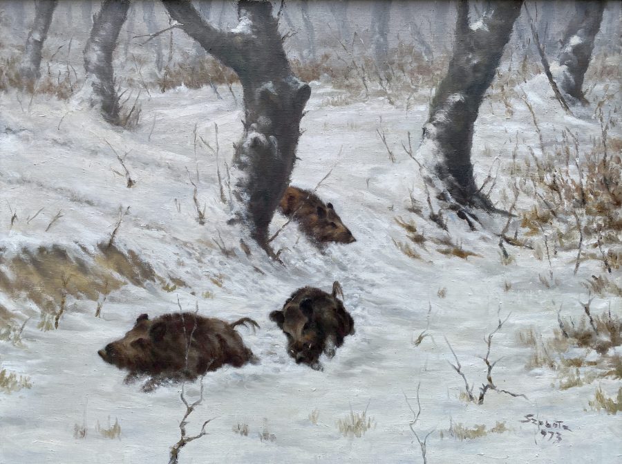 Wild Boars in Winter Forest