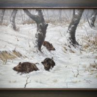 Wild Boars in Winter Forest - Image 2