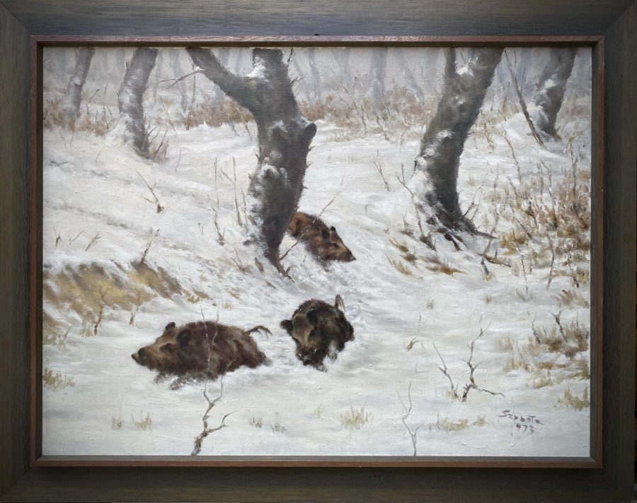 Wild Boars in Winter Forest - Image 2