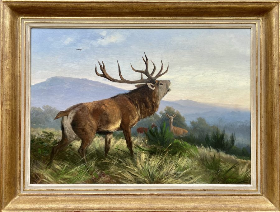 Roaring Deer Stag - Image 2