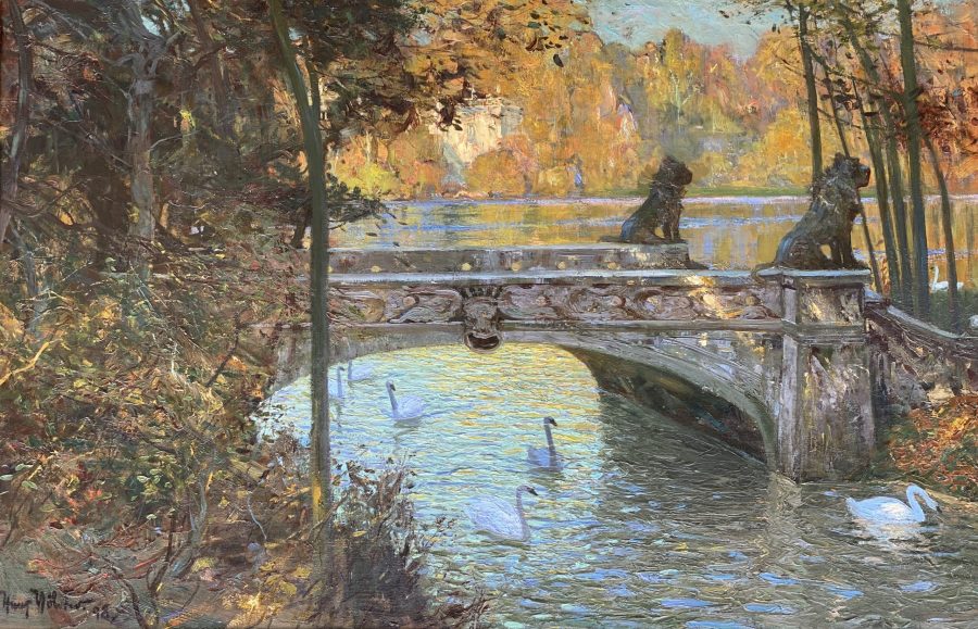 Swans in the Park