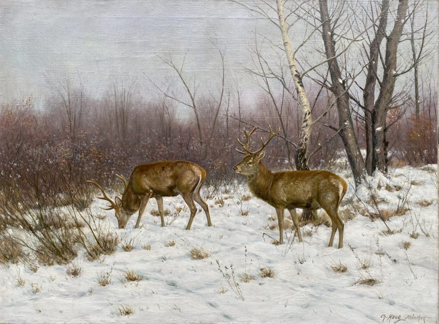 Deer in a Winter Landscape