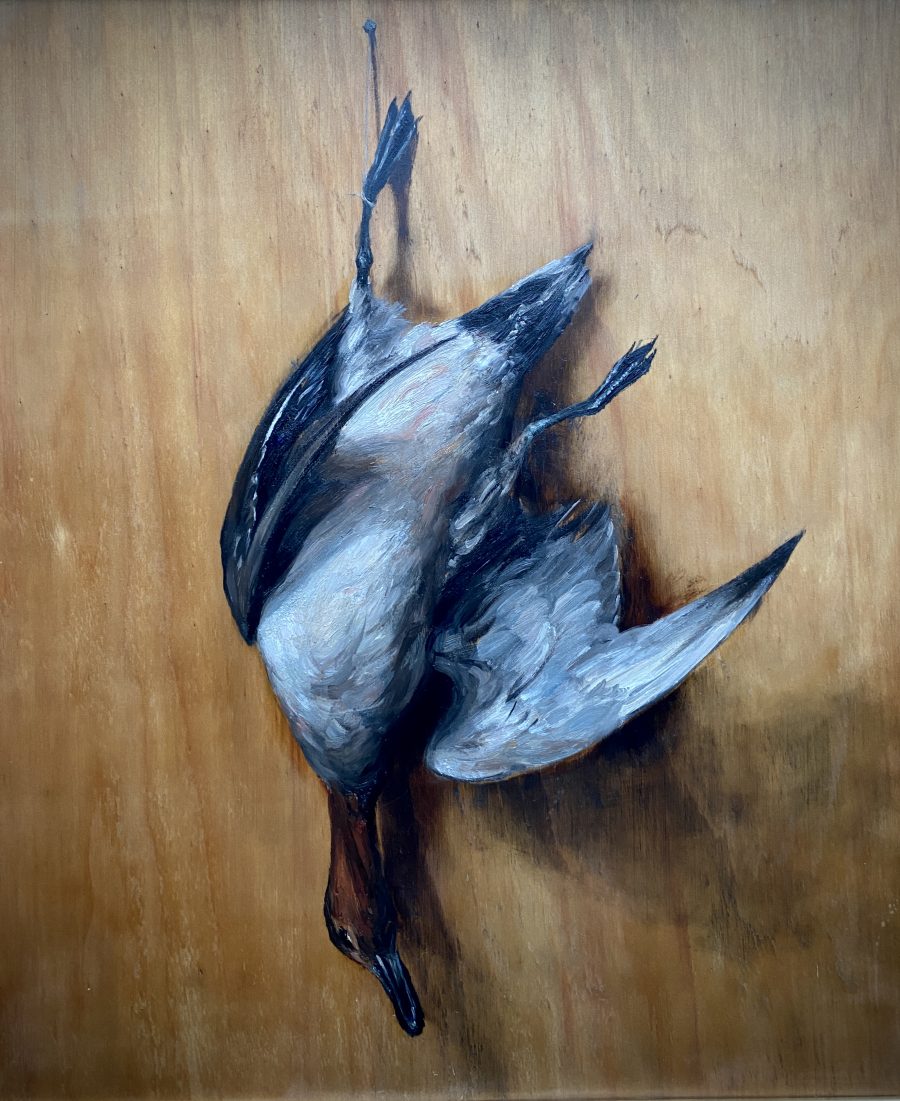 Trompe L’Oeil with a Duck