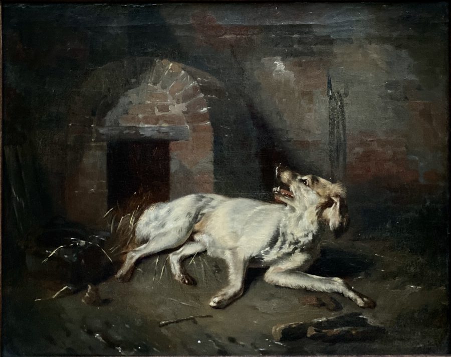 A Dog at the Fireplace