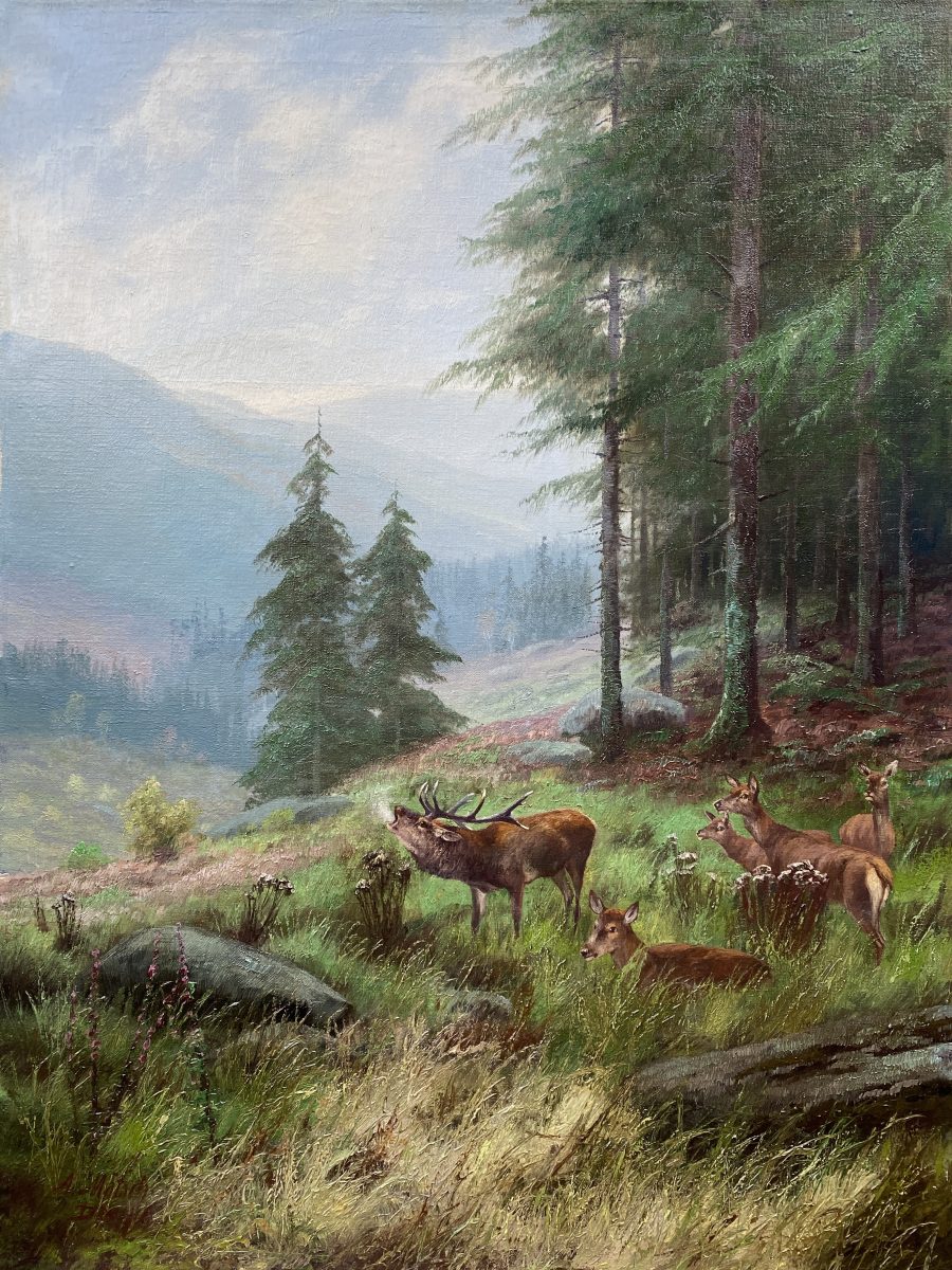 Roaring Red Stang Deer
