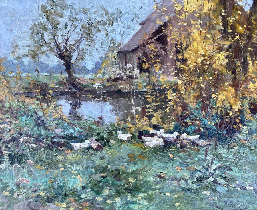 Ducks at a Pond