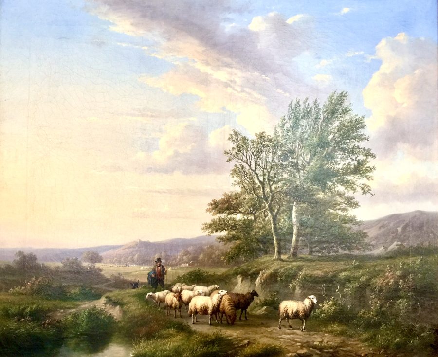 Shepherd with Sheep in Panoramic Summer Landscape