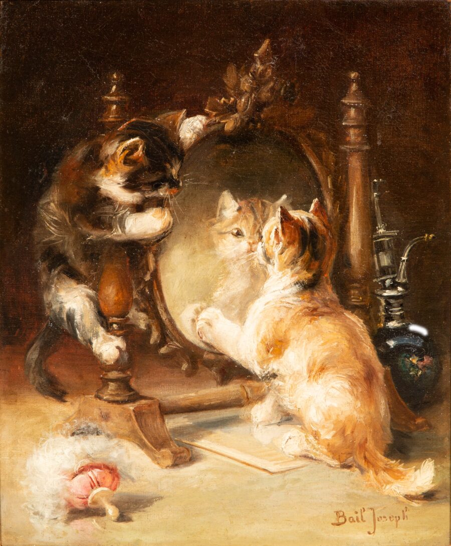 Cats Playing around a Mirror