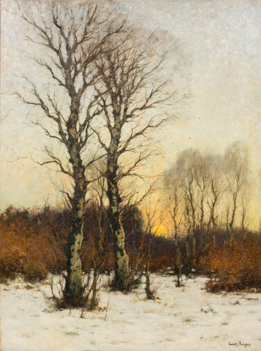 Sunset in a Winter Forest