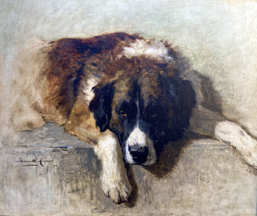 Portrait of a Bernese Mountain Dog