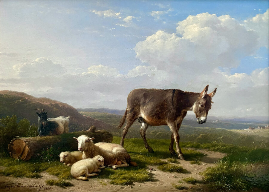 The Little Donkey