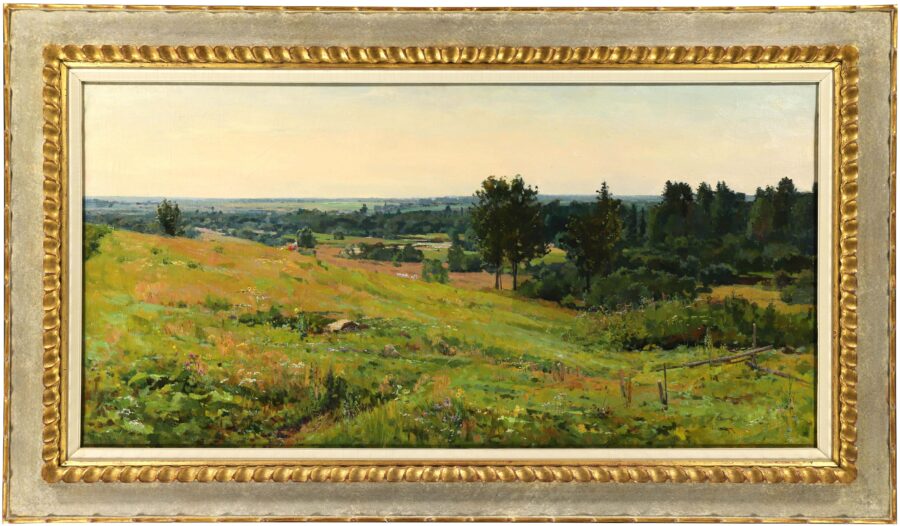 Panoramic Landscape - The Vyrsky Expanses - Image 2