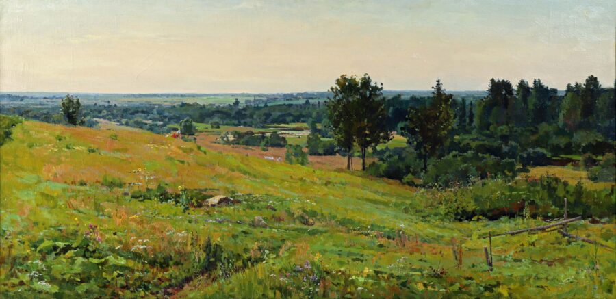 Panoramic Landscape - The Vyrsky Expanses