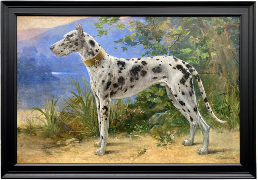 Portrait of a Great Dane - Harlequin - Image 2