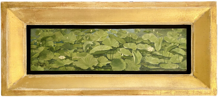 Aquatic Plant - Image 2