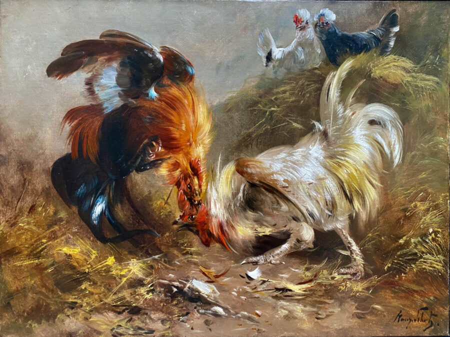 Cock Fight
