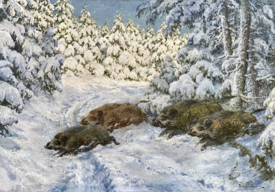 Wild Boars in the Winter Forest